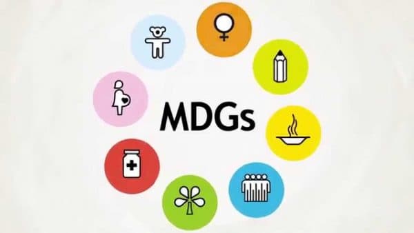 Featured image for Institutional framework DOHS and millennium development goals (MDGs)