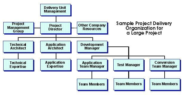 Sample Project Delivery Organization for a large project in DP Sign