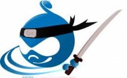 Featured image for Drupal error white user page, the design is showing in the index page, database contents are not showing in eCommerce website