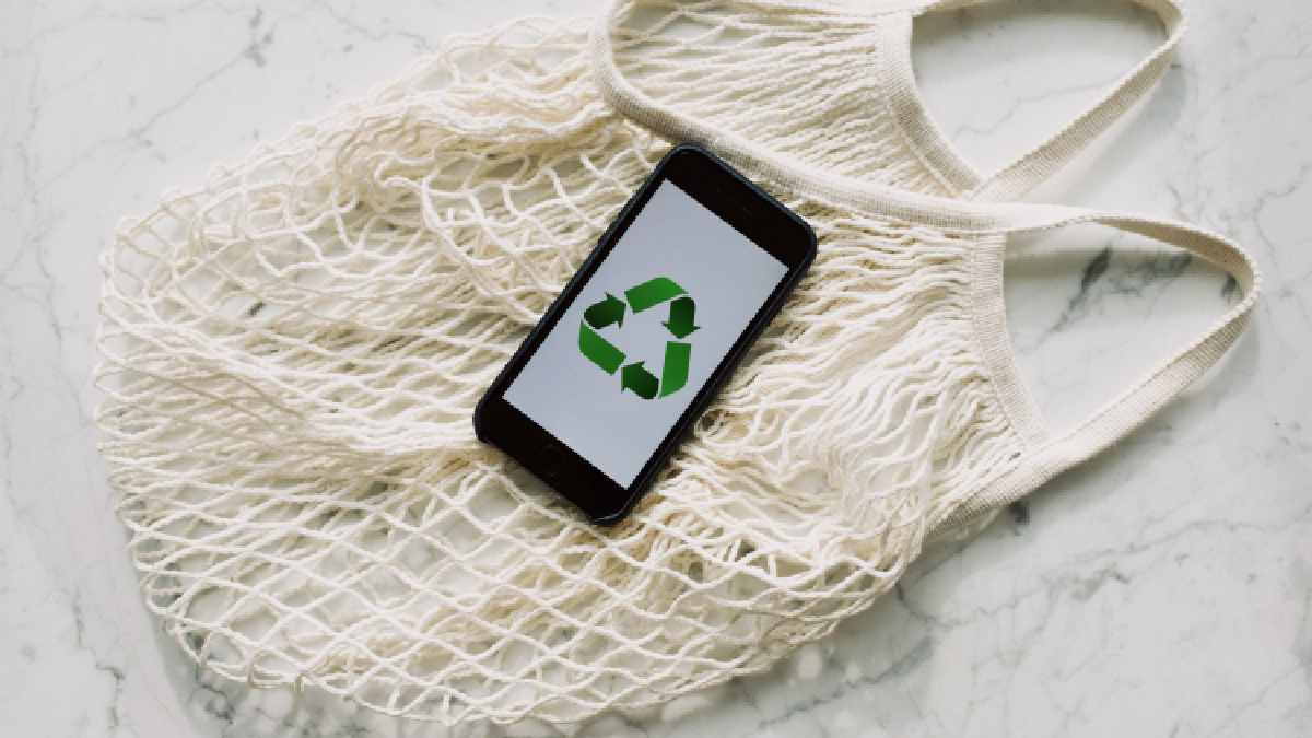 Going Green: Why It's Important For Your eCommerce Business