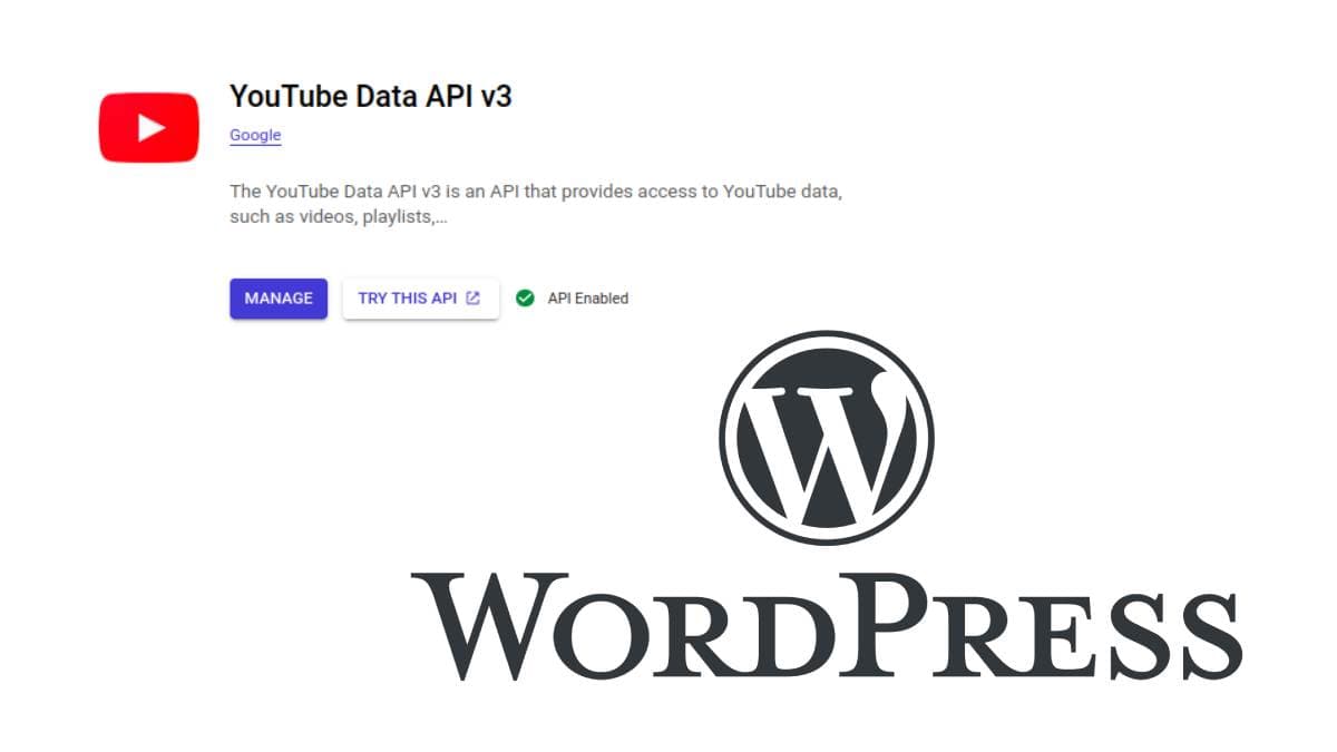 Youtube Wordpress